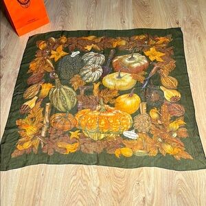 Hermès Citrouilles et Coloquintes 90cm Sheer Silk Scarf Valerie Dawlat Dumoulin